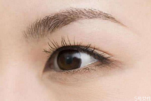 紋水霧眉需要多少錢 水霧眉和粉黛眉的區(qū)別 紋水霧眉需要多少錢 水霧眉和粉黛眉的區(qū)別