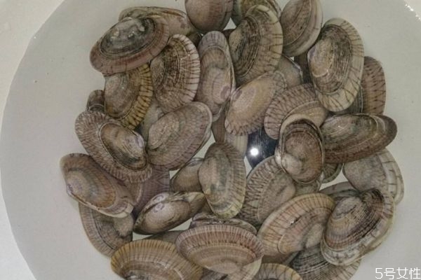 如何挑選新鮮的花甲 挑選花甲的方法有什么 如何挑選新鮮的花甲 挑選花甲的方法有什么