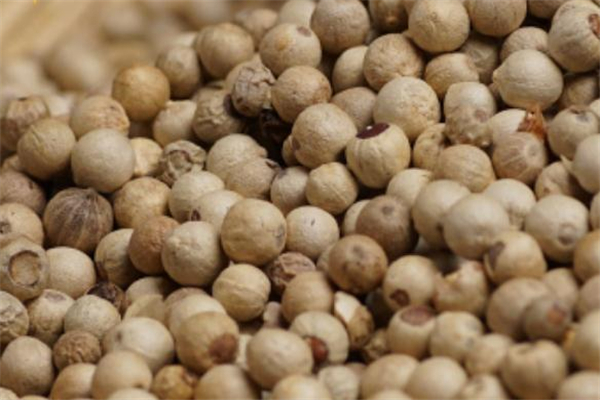 白胡椒是辛辣食物嗎 白胡椒為什么不能油炸 白胡椒是辛辣食物嗎 白胡椒為什么不能油炸