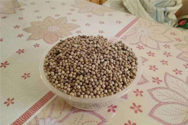 白胡椒可以每天吃嗎 白胡椒吃多了會(huì)怎樣 白胡椒可以每天吃嗎 白胡椒吃多了會(huì)怎樣