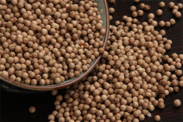 白胡椒可以每天吃嗎 白胡椒吃多了會(huì)怎樣 白胡椒可以每天吃嗎 白胡椒吃多了會(huì)怎樣