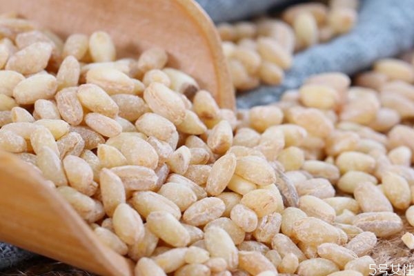 麥仁有什么營養(yǎng)價值呢 吃麥仁有什么好處呢 麥仁有什么營養(yǎng)價值呢 吃麥仁有什么好處呢