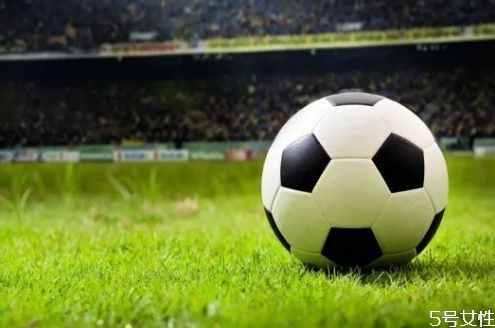 足球初學(xué)者應(yīng)該注意什么 足球比賽場上一共會有幾個(gè)人 足球初學(xué)者應(yīng)該注意什么 足球比賽場上一共會有幾個(gè)人
