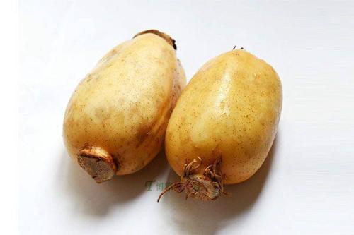 吃蓮藕能促進排便嗎 蓮藕怎么煮不會黑 吃蓮藕能促進排便嗎 蓮藕怎么煮不會黑