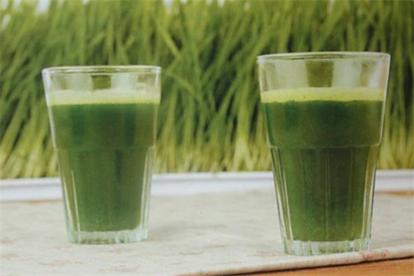 小麥草汁真的能治病嗎 小麥草汁怎么喝 小麥草汁真的能治病嗎 小麥草汁怎么喝