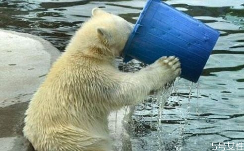 減肥為什么要多喝水 喝水有什么誤區(qū)嗎 減肥為什么要多喝水 喝水有什么誤區(qū)嗎