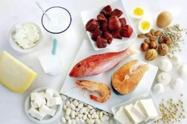 為什么需要補充蛋白質(zhì)呢 喝蛋白質(zhì)粉有什么好處 為什么需要補充蛋白質(zhì)呢 喝蛋白質(zhì)粉有什么好處