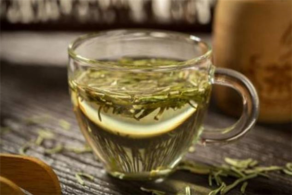 迷迭香茶和什么一起泡最好 迷迭香茶有副作用嗎 迷迭香茶和什么一起泡最好 迷迭香茶有副作用嗎