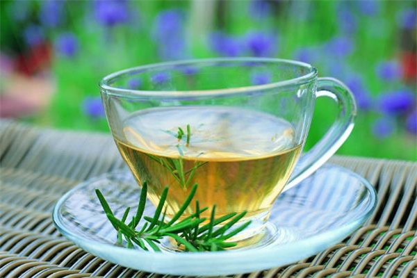 迷迭香茶和什么一起泡最好 迷迭香茶有副作用嗎 迷迭香茶和什么一起泡最好 迷迭香茶有副作用嗎