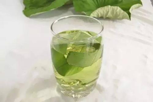 冬瓜荷葉茶真的能減肥嗎 冬瓜荷葉茶的作用 冬瓜荷葉茶真的能減肥嗎 冬瓜荷葉茶的作用