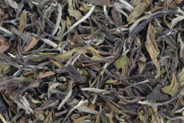 喝老白茶能降血壓嗎 老白茶孕婦能喝嗎 喝老白茶能降血壓嗎 老白茶孕婦能喝嗎