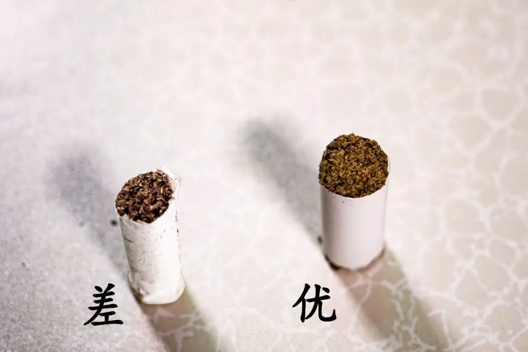艾條的煙對(duì)身體有害嗎 艾條能長(zhǎng)期用嗎 艾條的煙對(duì)身體有害嗎 艾條能長(zhǎng)期用嗎