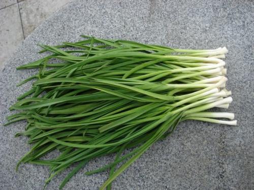 蒜苗營養(yǎng)成分有哪些 蒜苗的熱量高嗎 蒜苗營養(yǎng)成分有哪些 蒜苗的熱量高嗎