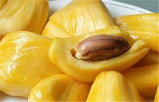 菠蘿蜜果醬好吃嗎 菠蘿蜜果醬能保存多久 菠蘿蜜果醬好吃嗎 菠蘿蜜果醬能保存多久