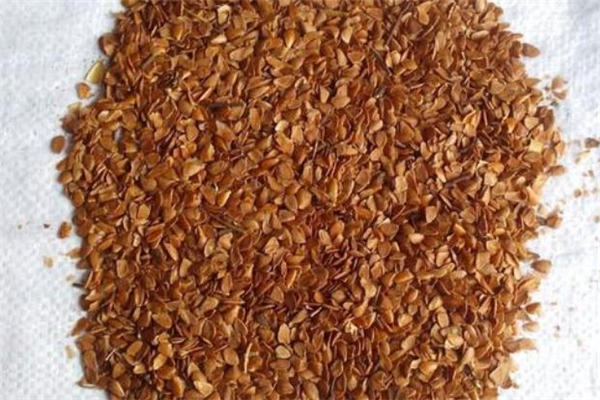 香椿籽可以催奶嗎 香椿子泡水喝有什么作用 香椿籽可以催奶嗎 香椿子泡水喝有什么作用