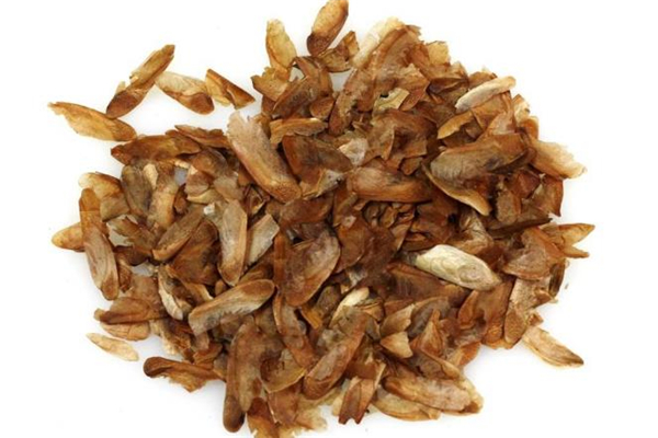 香椿籽可以催奶嗎 香椿子泡水喝有什么作用 香椿籽可以催奶嗎 香椿子泡水喝有什么作用