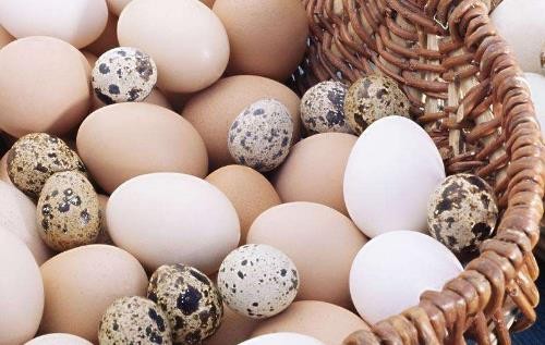 一個(gè)鴿子蛋有多大 一個(gè)鴿子蛋有多重