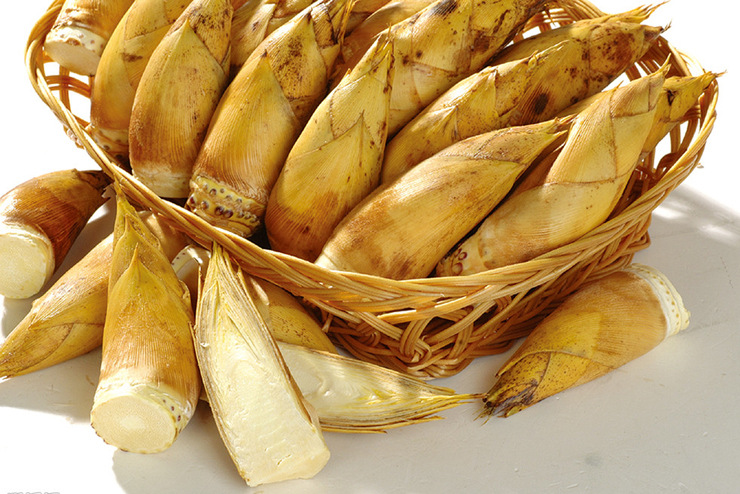 冬筍不焯水能吃嗎 冬筍焯水的方法 冬筍不焯水能吃嗎 冬筍焯水的方法