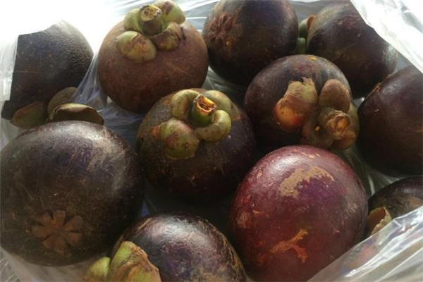 山竹常溫下能放幾天 山竹冷凍后還能吃嗎 山竹常溫下能放幾天 山竹冷凍后還能吃嗎