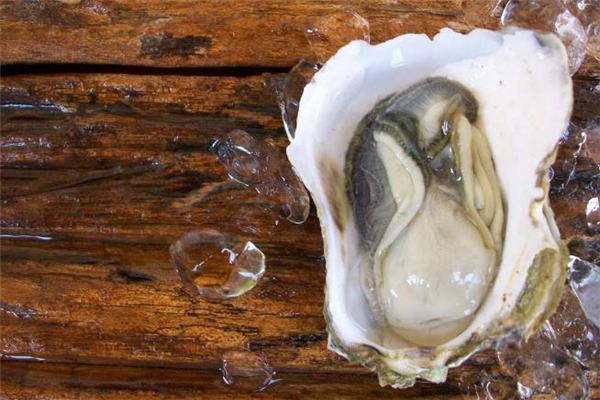 生蠔生吃是什么味道 生蠔生吃有營養(yǎng)嗎 生蠔生吃是什么味道 生蠔生吃有營養(yǎng)嗎