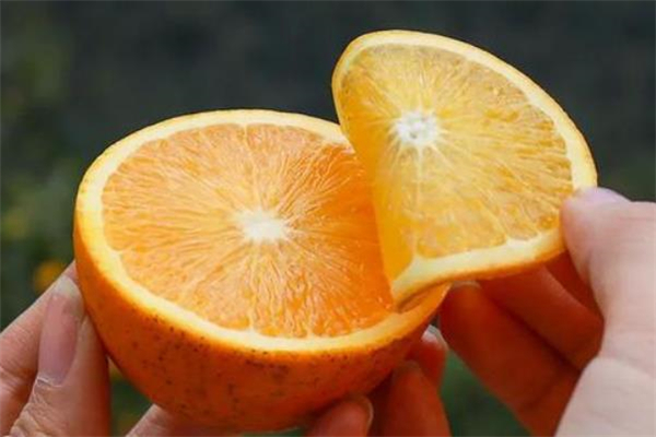 冰糖橙是哪里的特產(chǎn) 冰糖橙是寒性的嗎 冰糖橙是哪里的特產(chǎn) 冰糖橙是寒性的嗎