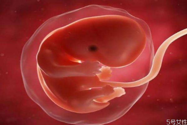 孕初期有什么癥狀 怎樣能夠檢查出來是否懷孕 孕初期有什么癥狀 怎樣能夠檢查出來是否懷孕