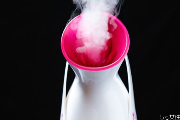 蒸臉器怎么消毒 蒸臉器多久消毒一次 蒸臉器怎么消毒 蒸臉器多久消毒一次