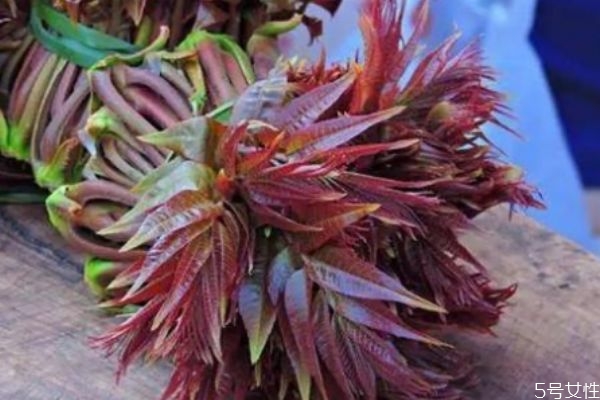 香椿可以怎么吃 香椿怎么做好吃 香椿可以怎么吃 香椿怎么做好吃