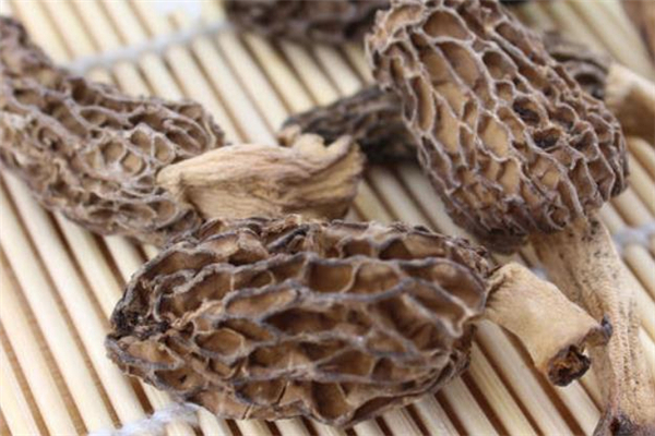 羊肚菌要泡多久 羊肚菌用多少度的水泡 羊肚菌要泡多久 羊肚菌用多少度的水泡