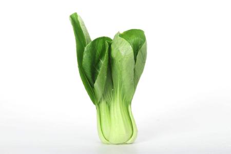 上海青菜飯?jiān)趺醋龊贸?上海青怎么保存 上海青菜飯?jiān)趺醋龊贸?上海青怎么保存