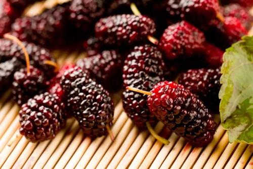 桑葚補血效果好嗎 桑葚牛排燉湯怎么做好吃 桑葚補血效果好嗎 桑葚牛排燉湯怎么做好吃