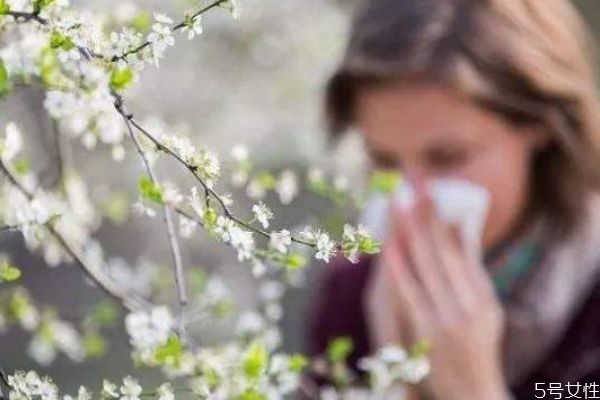 花粉過敏身上癢怎么辦 花粉過敏怎么辦小偏方 花粉過敏身上癢怎么辦 花粉過敏怎么辦小偏方