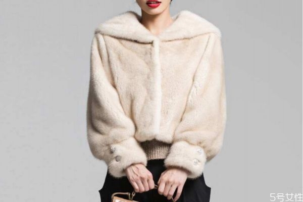 金貂絨和水貂絨哪個貴 金貂絨和水貂絨介紹 金貂絨和水貂絨哪個貴 金貂絨和水貂絨介紹