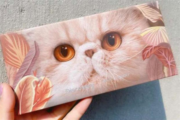 完美日記小貓盤多少錢 完美日記小貓盤怎么搭配 完美日記小貓盤多少錢 完美日記小貓盤怎么搭配