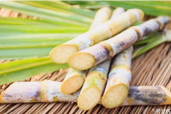 甘蔗削皮后變紅能吃嗎 甘蔗削皮后可以放多久 甘蔗削皮后變紅能吃嗎 甘蔗削皮后可以放多久