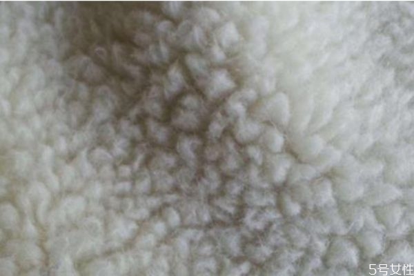 顆粒絨怎么洗好 顆粒絨面料如何清洗 顆粒絨怎么洗好 顆粒絨面料如何清洗