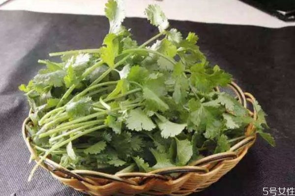 吃香菜會(huì)上火嗎 吃香菜對(duì)男人有害處嗎 吃香菜會(huì)上火嗎 吃香菜對(duì)男人有害處嗎