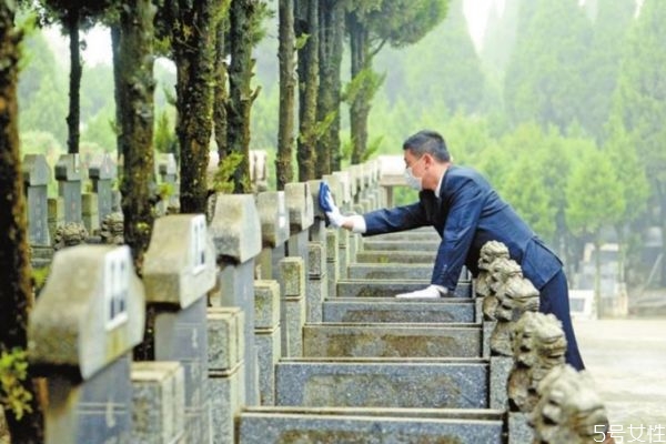 清明節(jié)的鮮花要用幾朵 清明節(jié)掃墓應(yīng)該用什么花 清明節(jié)的鮮花要用幾朵 清明節(jié)掃墓應(yīng)該用什么花