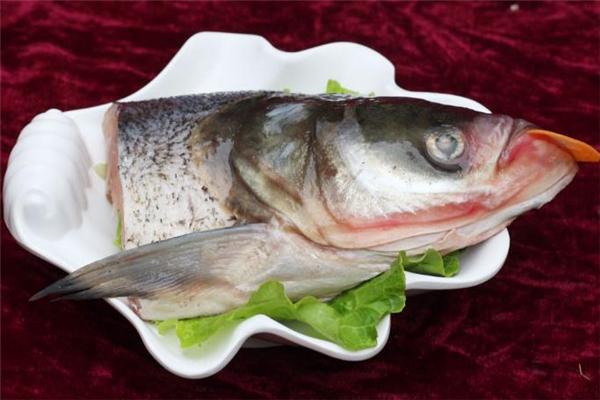 花鰱魚(yú)什么人不能吃 花鰱魚(yú)適合什么人吃 花鰱魚(yú)什么人不能吃 花鰱魚(yú)適合什么人吃