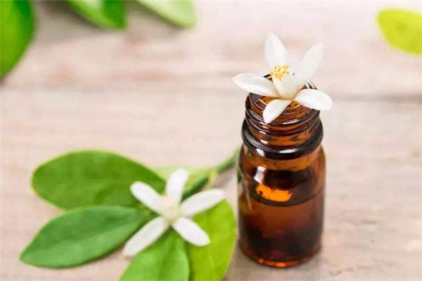 精油按摩減肥會反彈嗎 精油按摩減肥多久見效 精油按摩減肥會反彈嗎 精油按摩減肥多久見效