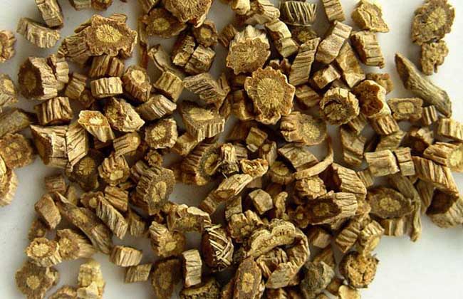 中藥防風(fēng)是什么 防風(fēng)的藥用價(jià)值 中藥防風(fēng)是什么 防風(fēng)的藥用價(jià)值