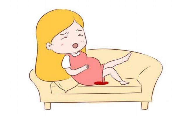 葡萄胎是什么 正常懷孕和葡萄胎的區(qū)別 葡萄胎是什么 正常懷孕和葡萄胎的區(qū)別