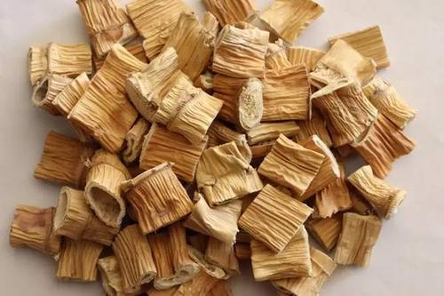 蘆根是什么 蘆根的作用 蘆根是什么 蘆根的作用