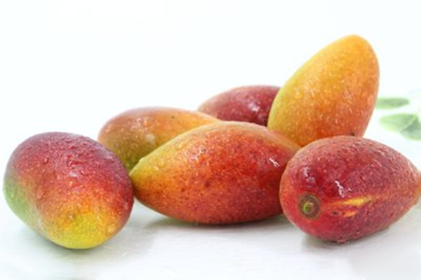 芒果為什么沒熟就爛了 芒果沒熟就爛了的原因 芒果為什么沒熟就爛了 芒果沒熟就爛了的原因