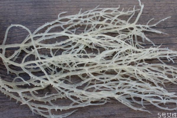 鮮鹿角可以怎么吃 鮮鹿角菜的簡單做法 鮮鹿角可以怎么吃 鮮鹿角菜的簡單做法