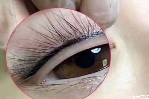 種完睫毛多久可以碰水 種完睫毛后有什么注意 種完睫毛多久可以碰水 種完睫毛后有什么注意