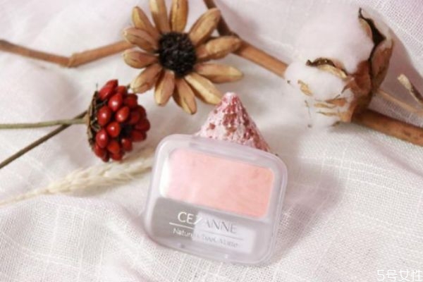 毛孔大用什么腮紅比較好 毛孔大適合用什么腮紅 毛孔大用什么腮紅比較好 毛孔大適合用什么腮紅