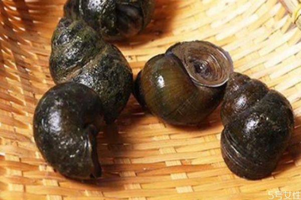田螺應該怎么清洗 清洗田螺的方法 田螺應該怎么清洗 清洗田螺的方法