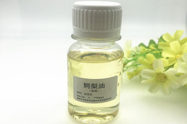 鱷梨油可以直接敷臉嗎 鱷梨油直接敷臉好嗎 鱷梨油可以直接敷臉嗎 鱷梨油直接敷臉好嗎