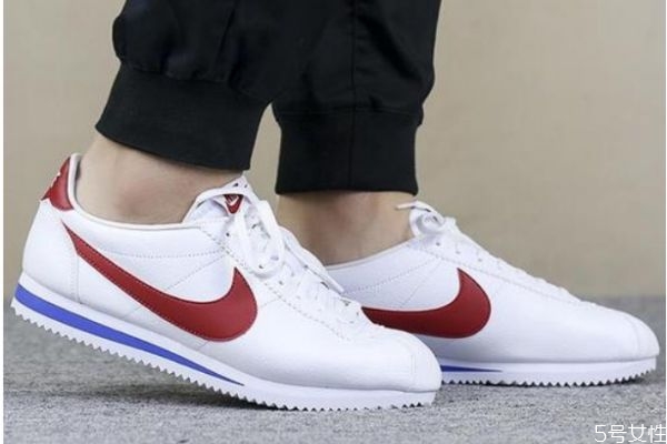 阿甘鞋和鬼冢虎的區(qū)別 阿甘鞋和鬼?；⒌牟煌?><p><strong>阿甘鞋和鬼冢虎的區(qū)別 阿甘鞋和鬼?；⒌牟煌?/strong></p></a></li> <li><a href=